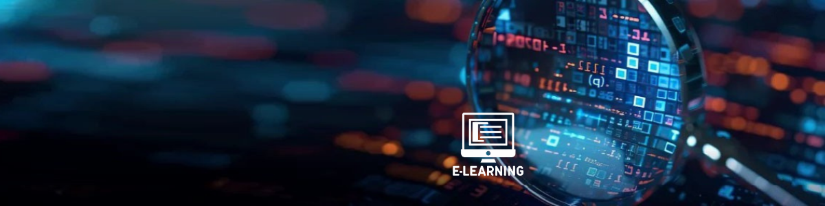 ISTQB Certified Tester Advanced Level Test Analyst e-learning