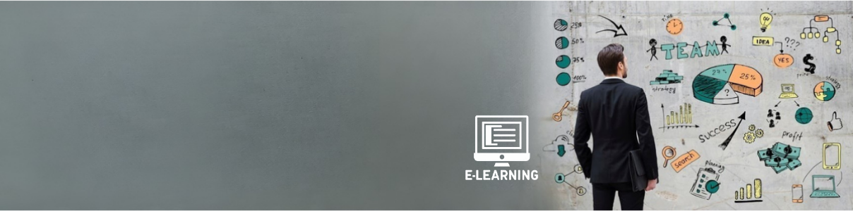 ISTQB Certified Tester Advanced Level Test Manager e-learning